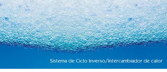 sin titulo 1